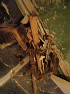 edencottages - 5418.jpg
